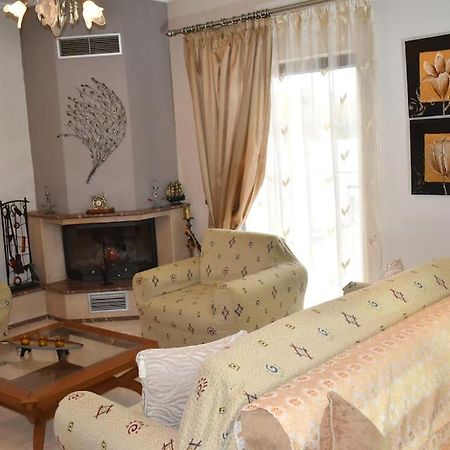 Stefanos Apartment 特里卡拉 外观 照片