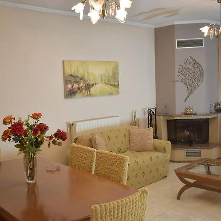 Stefanos Apartment 特里卡拉 外观 照片