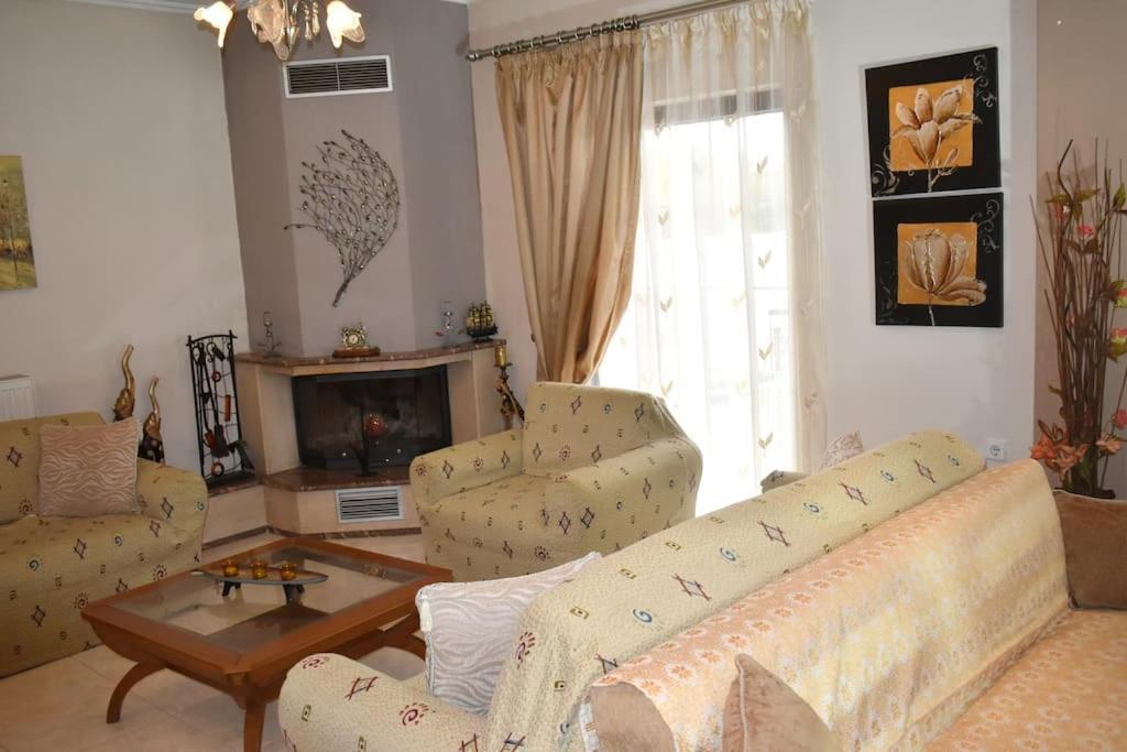 Stefanos Apartment 特里卡拉 外观 照片
