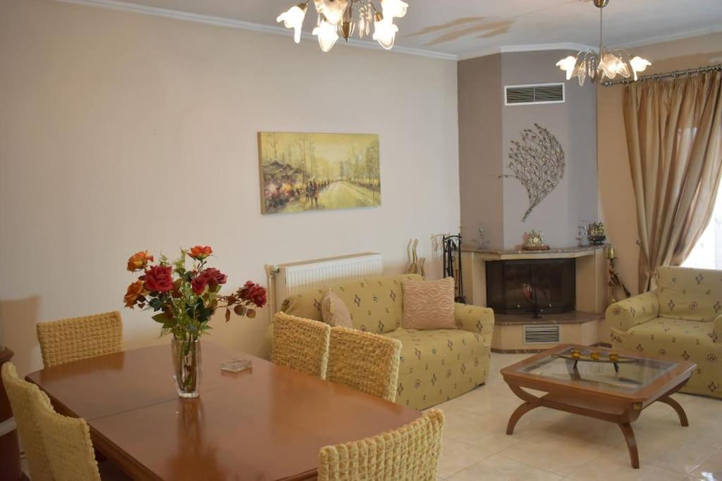 Stefanos Apartment 特里卡拉 外观 照片