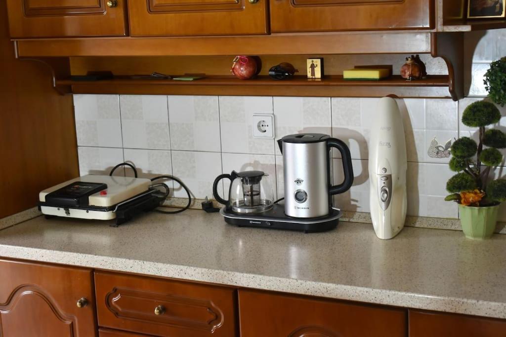 Stefanos Apartment 特里卡拉 外观 照片