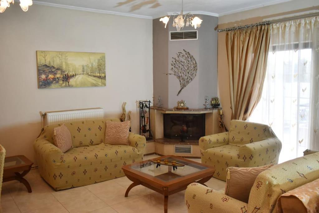 Stefanos Apartment 特里卡拉 外观 照片