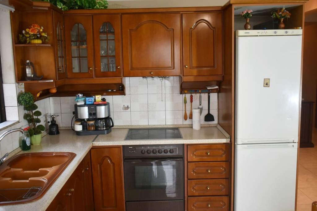 Stefanos Apartment 特里卡拉 外观 照片