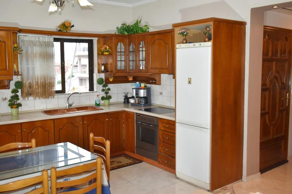 Stefanos Apartment 特里卡拉 外观 照片