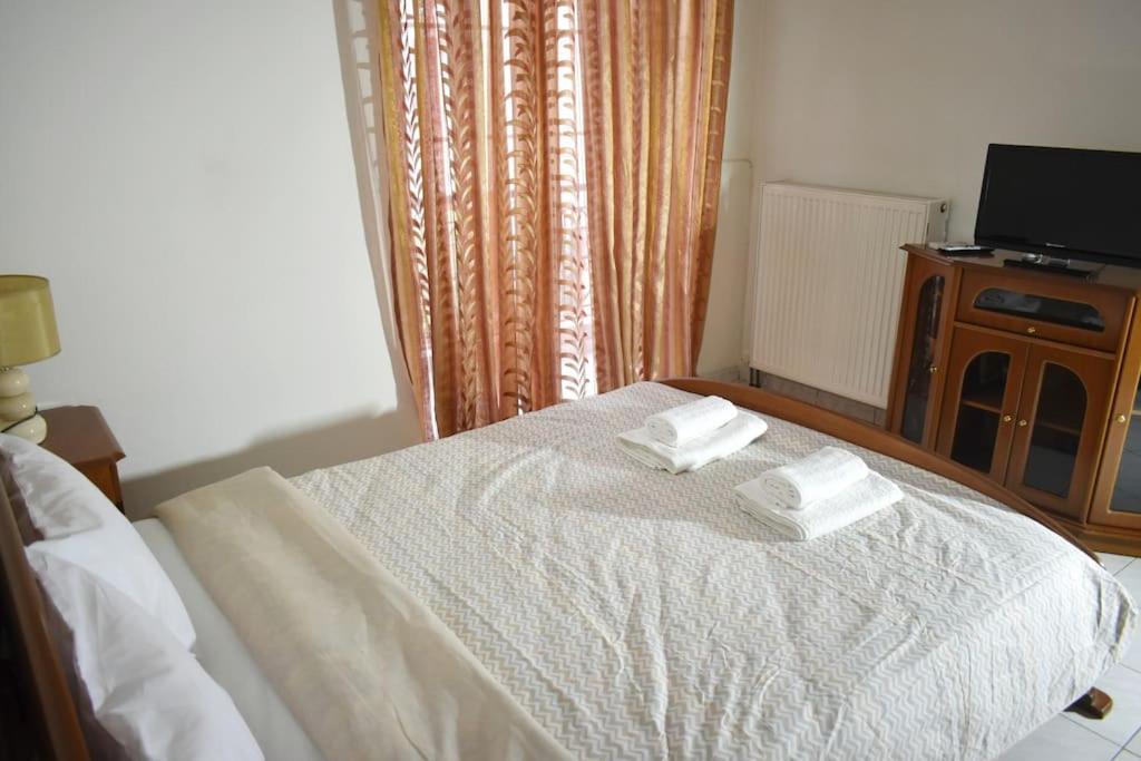 Stefanos Apartment 特里卡拉 外观 照片