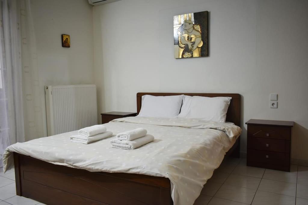 Stefanos Apartment 特里卡拉 外观 照片
